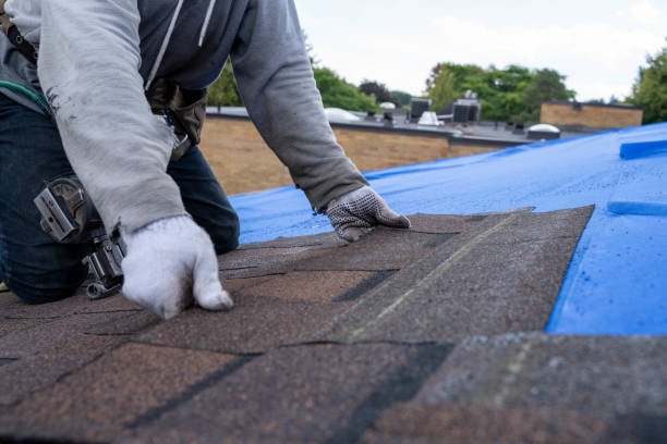 Best Sealant for Roof  in Porter, IN