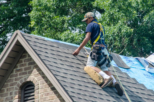Best Roof Replacement Cost  in Porter, IN